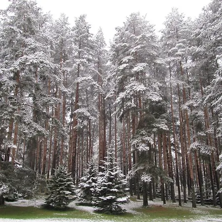 Appartement Markoni *