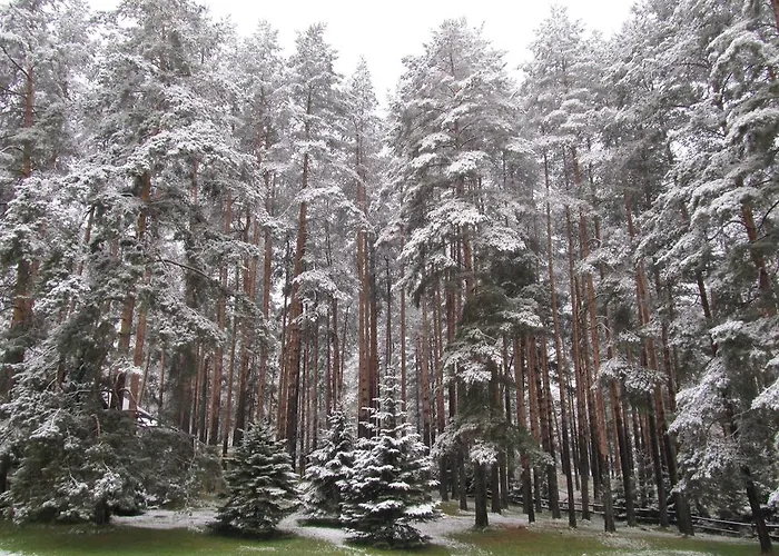 Appartement Markoni *